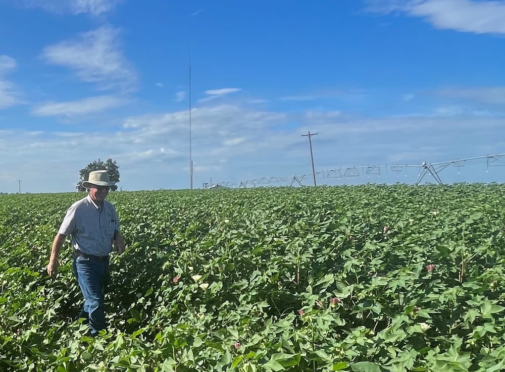 person in field