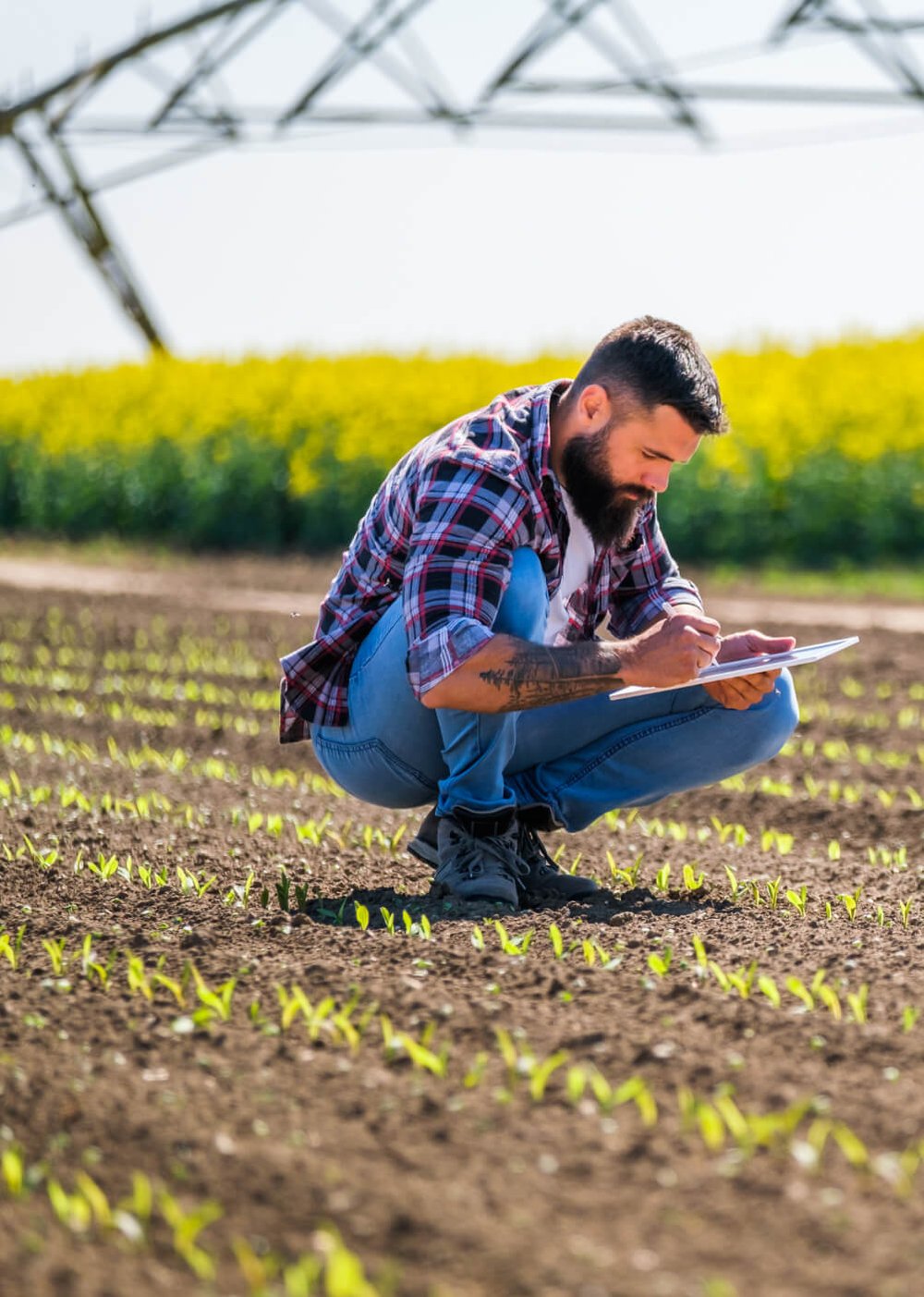 agriculture